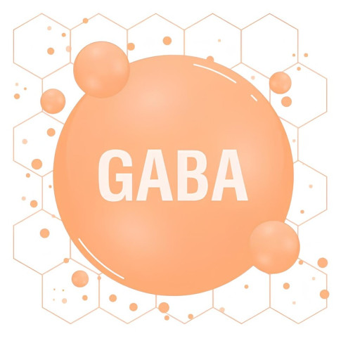 Что за аминокислота GABA и для чего она нужна?