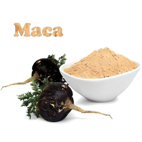 Мака перуанская и ее полезные свойства
